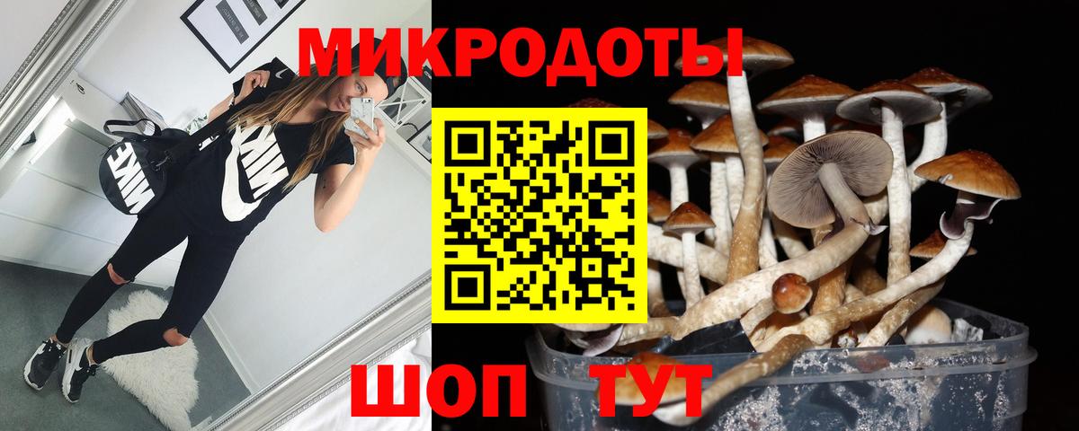 Ликино-Дулёво  Галлюциногенные грибы ЛСД  Вход с VPN 